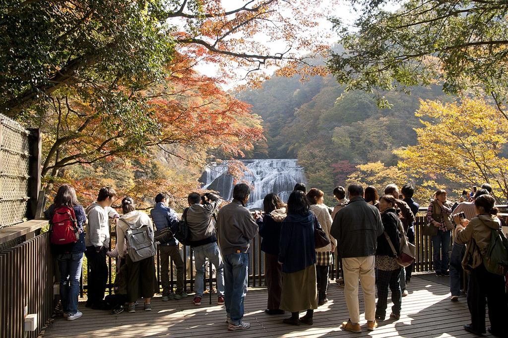 紅葉した木々の間から滝を眺める観瀑台の人たち