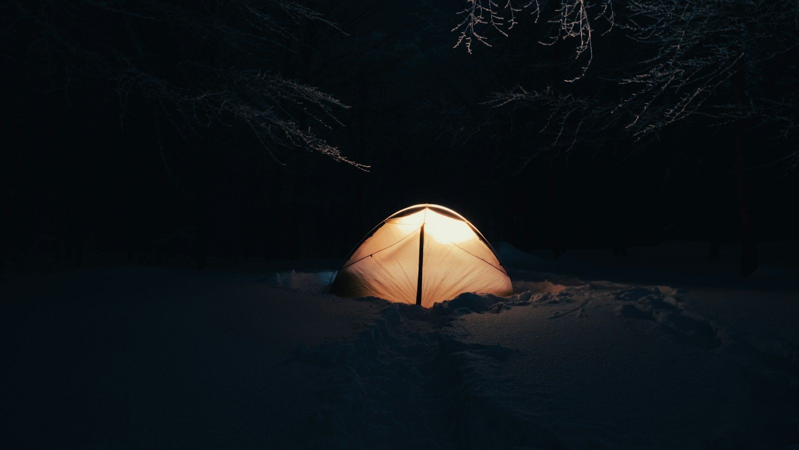 雪の森の中で明かりのともるテント