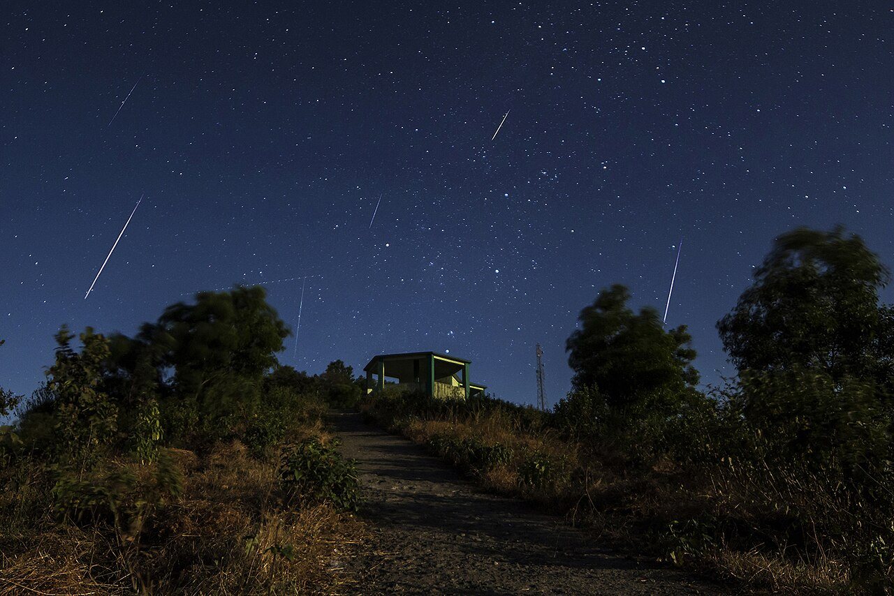 木々の上の夜空に流れる何本もの流れ星