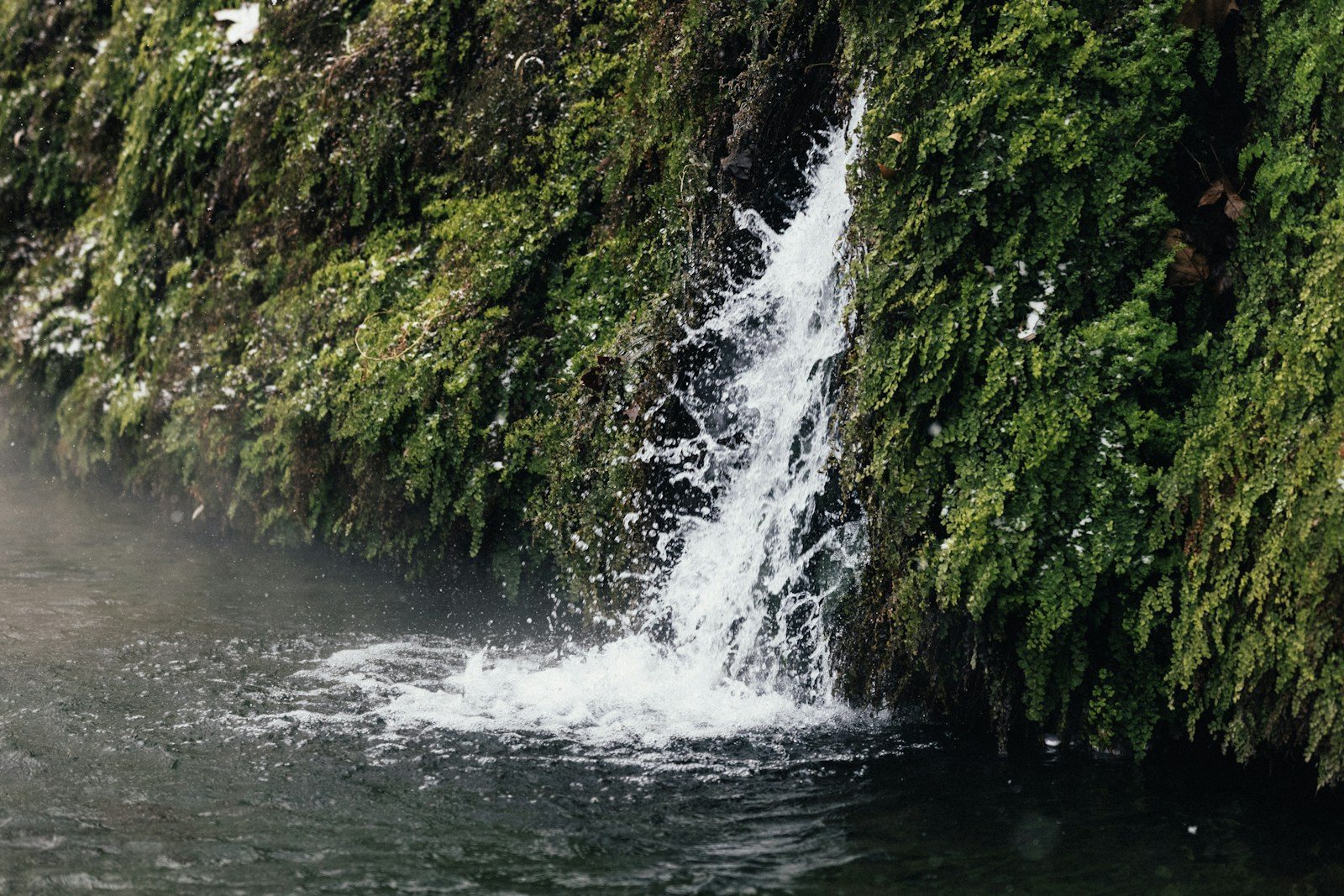 苔の上を流れ落ちる滝と滝つぼ