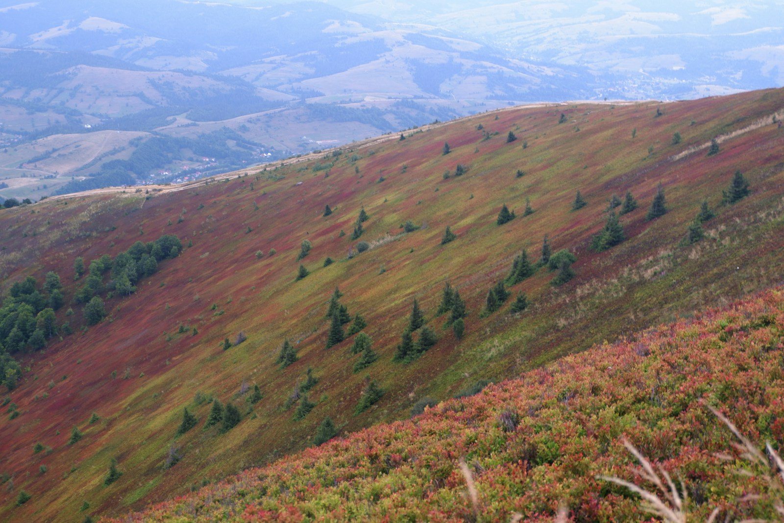 なだらかな斜面と山道
