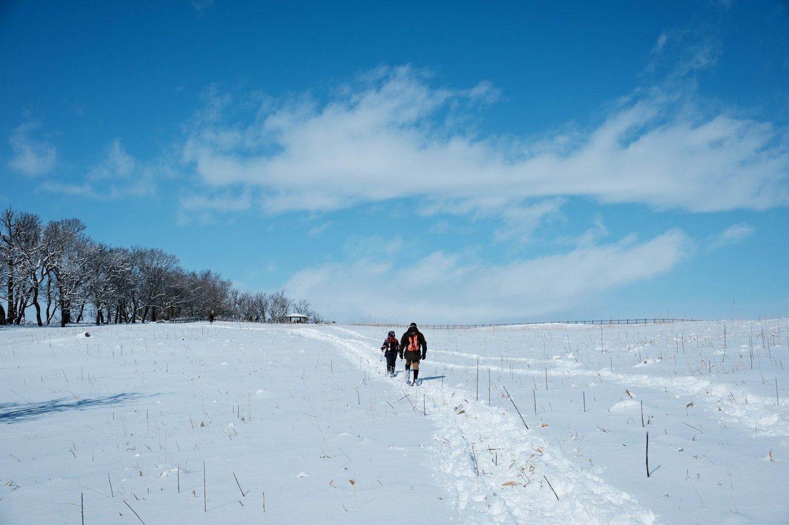 雪原を歩く登山者