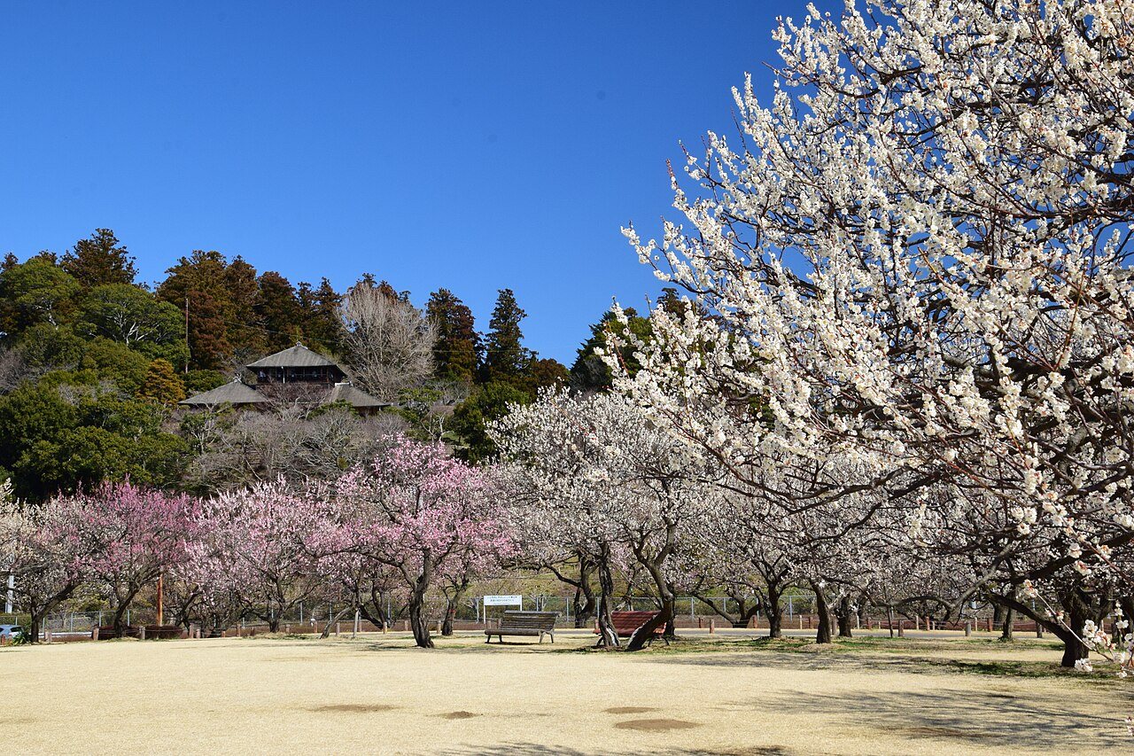 茨城県 偕楽園