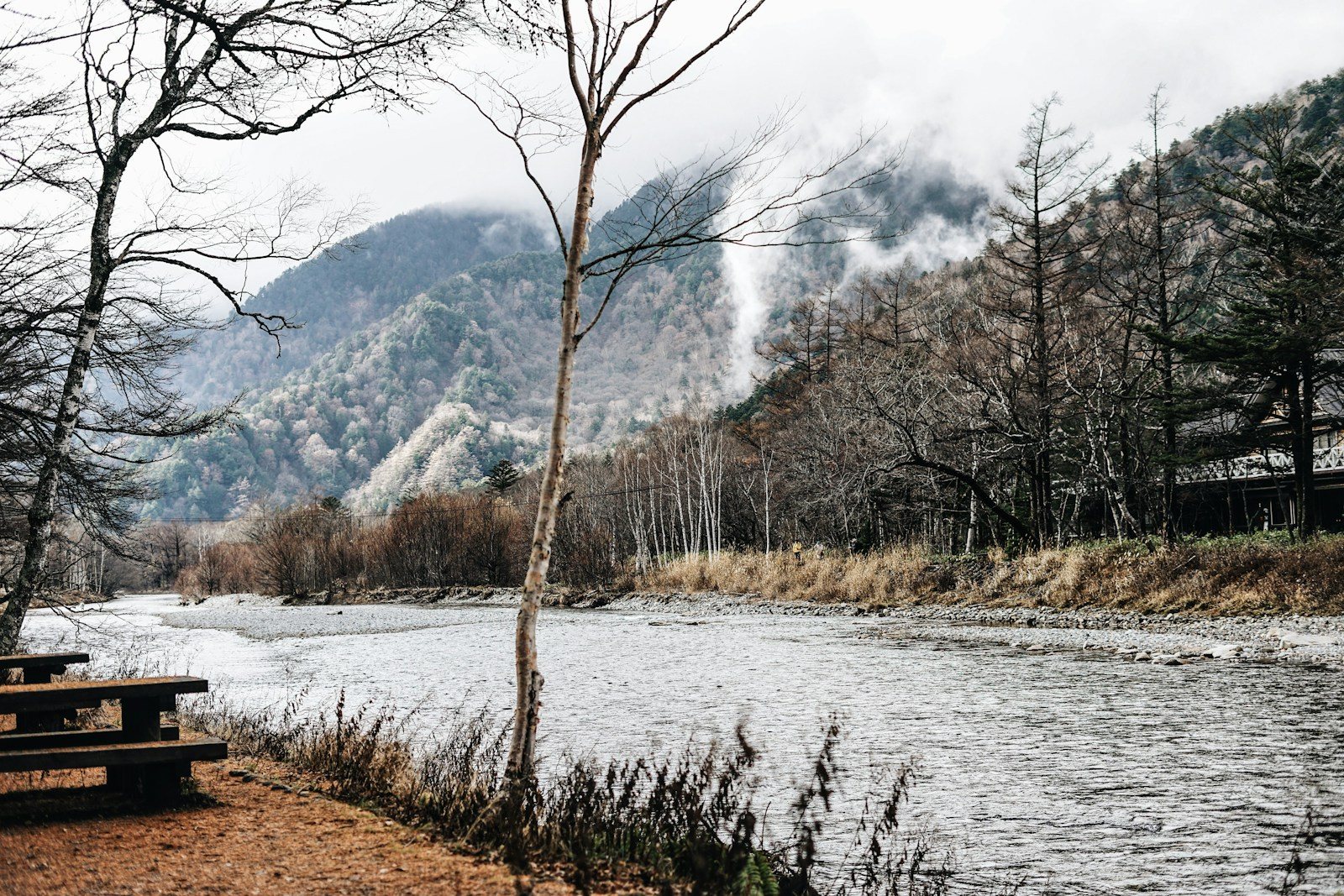 霧のかかる山と川沿いのベンチ