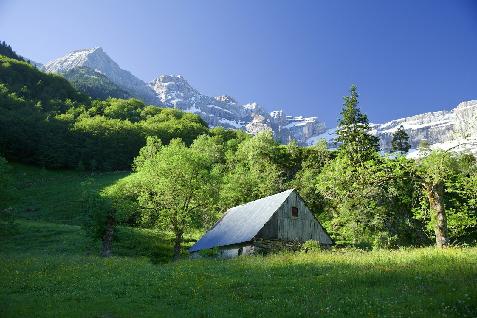 山を背にした草原の建物