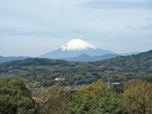 緑の丘の向こうにそびえる雪の富士山