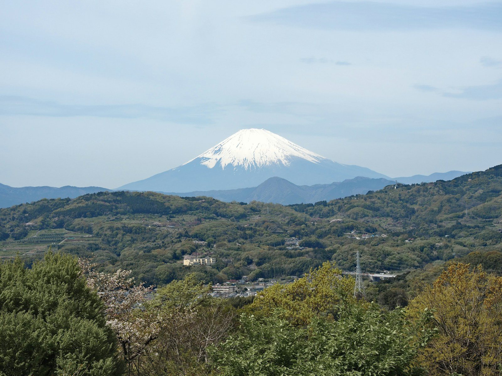 緑の丘の向こうにそびえる雪の富士山