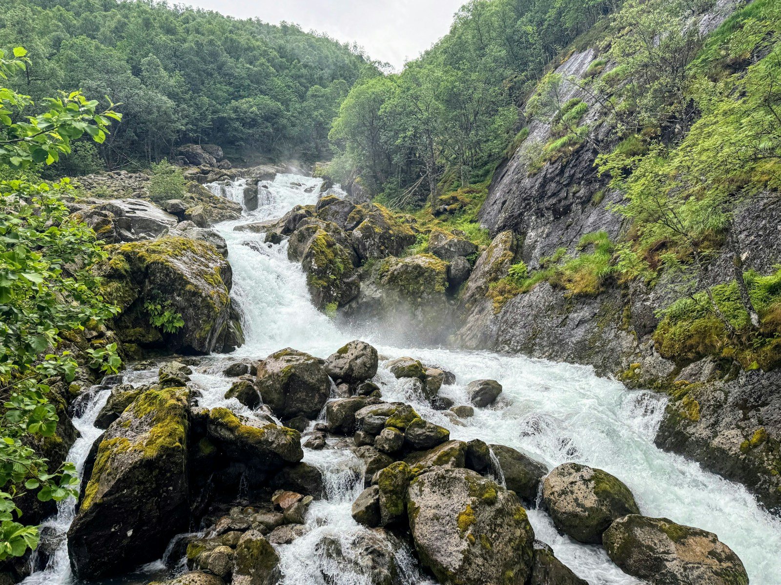 苔むした岩を流れる沢