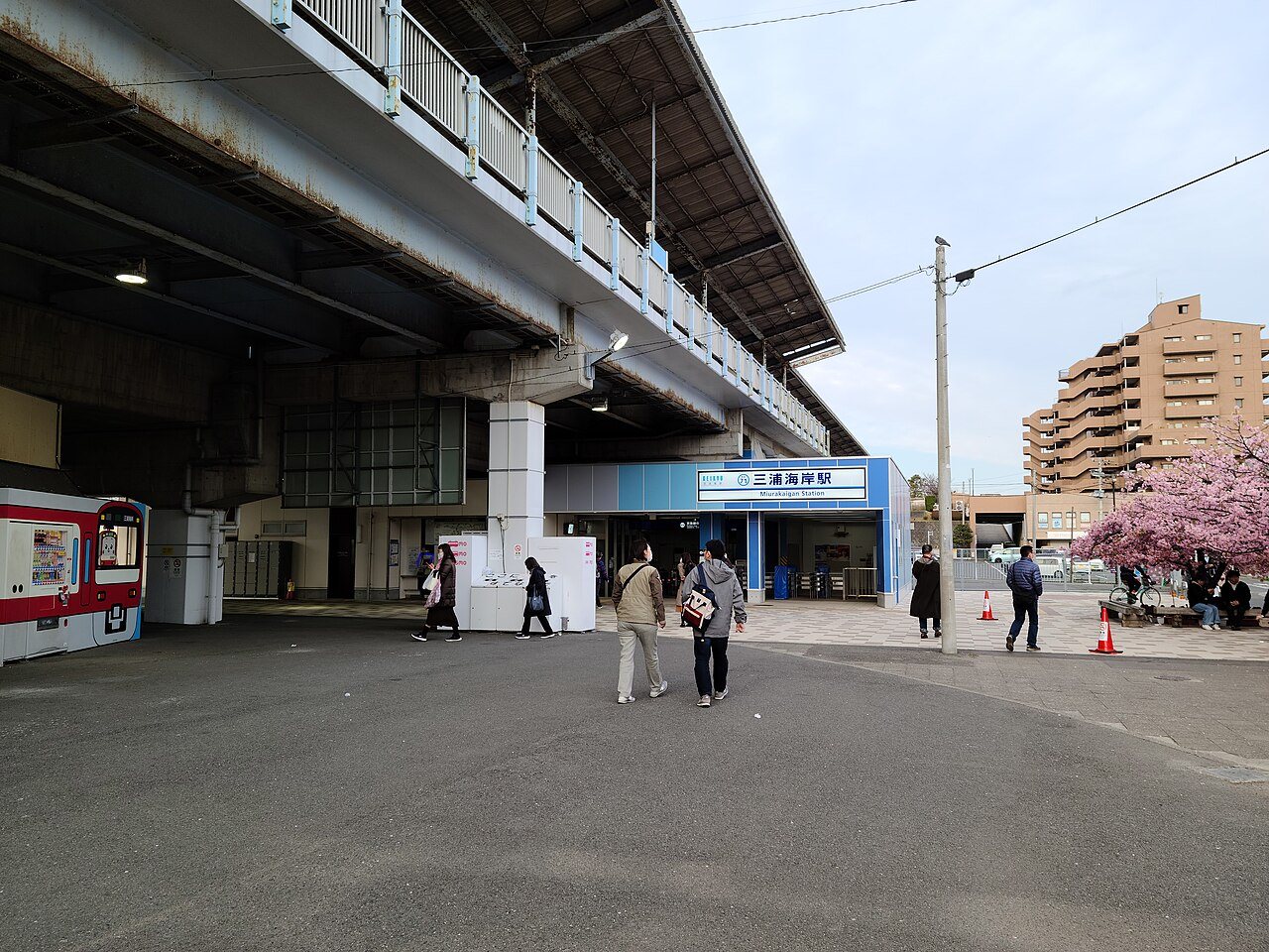 高架の三浦海岸駅の駅舎と駅前の広場、右手に咲く河津桜