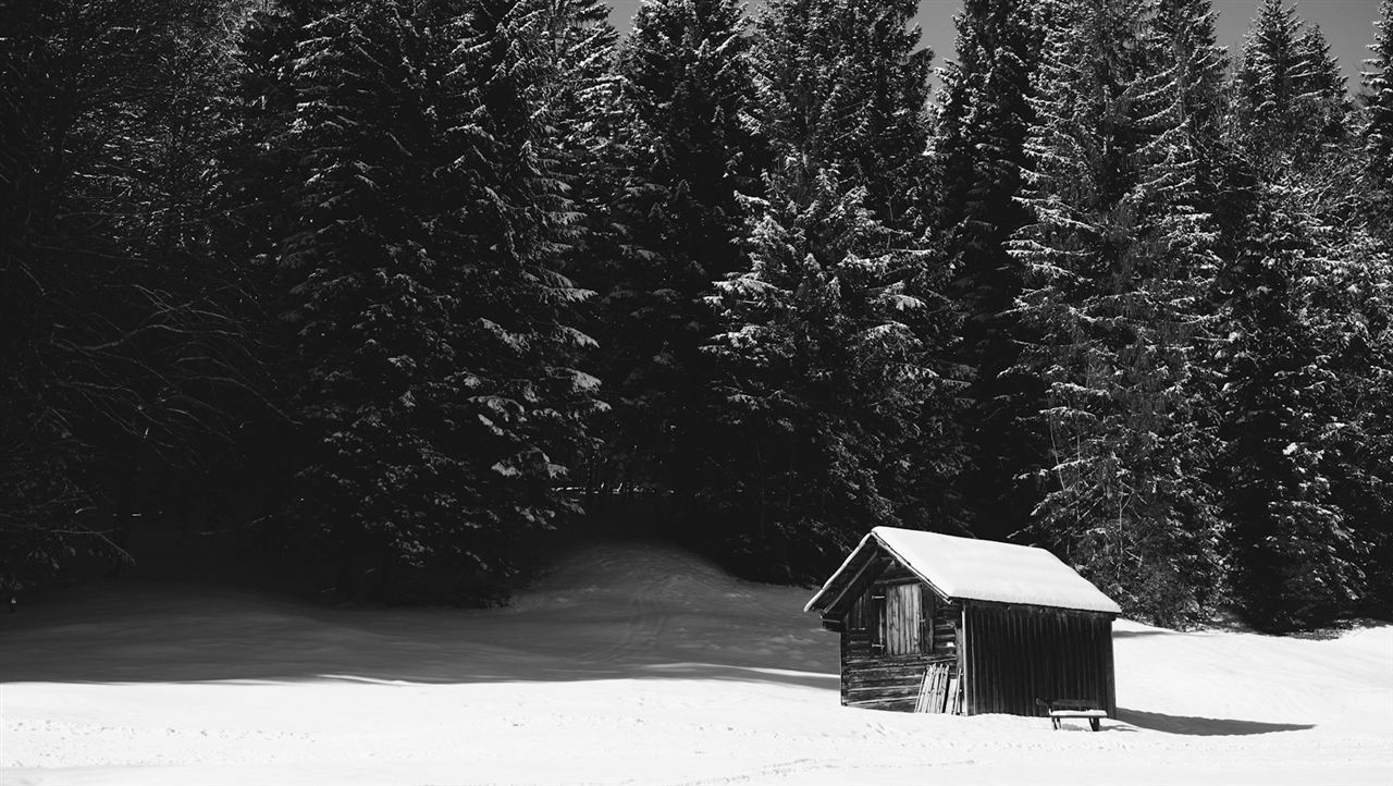 雪の積もった森の中の小さな小屋