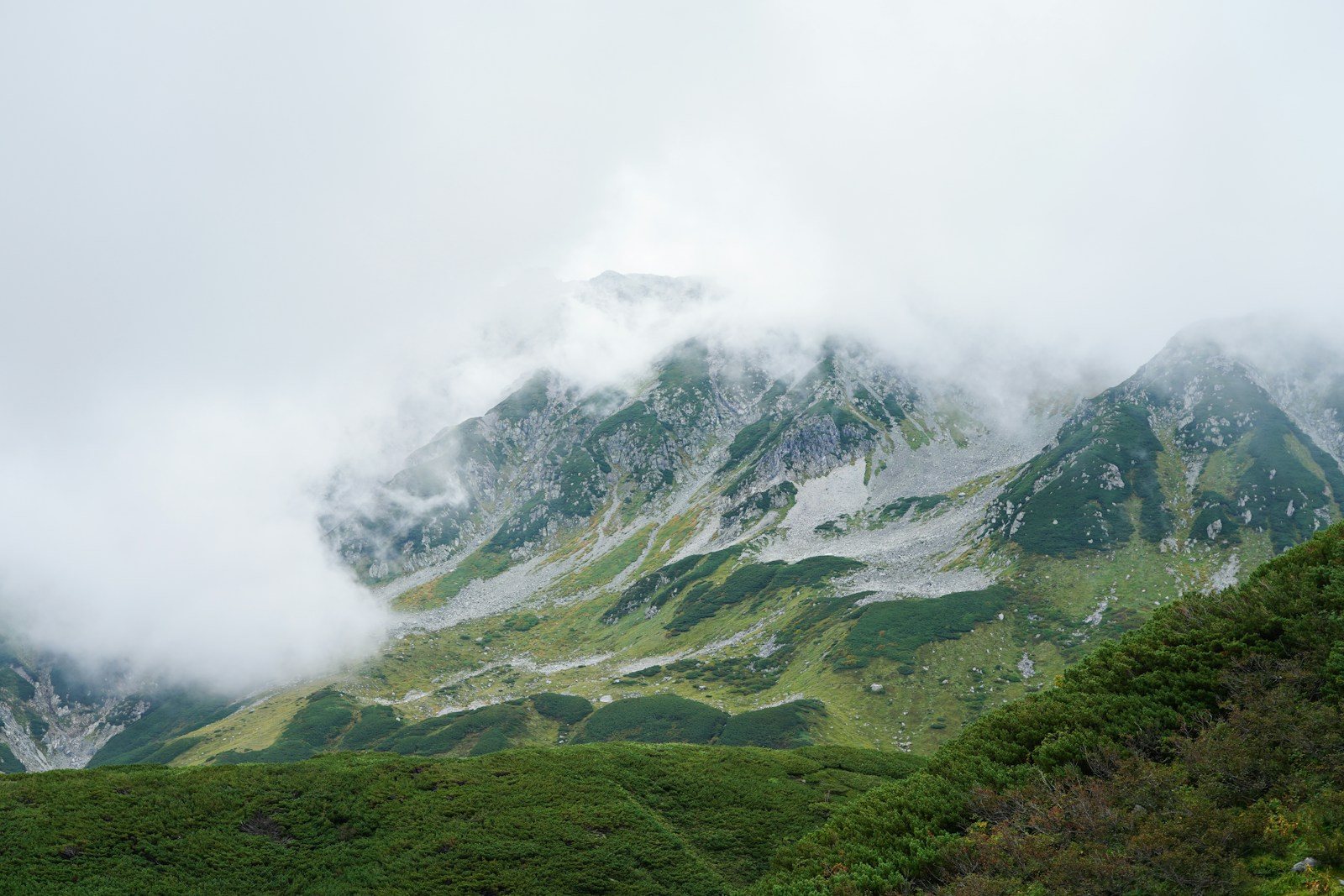 ハイマツの上で雲をまとう岩の山