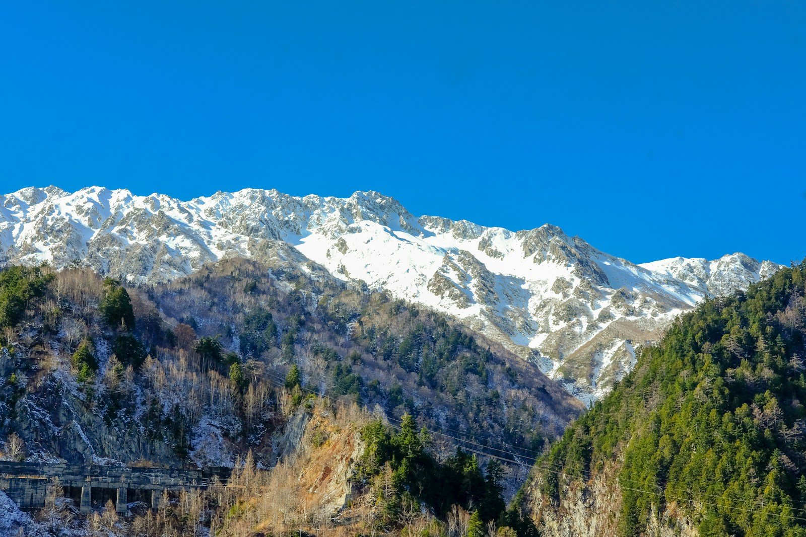 雪をかぶった岩の山並みと針葉樹の斜面