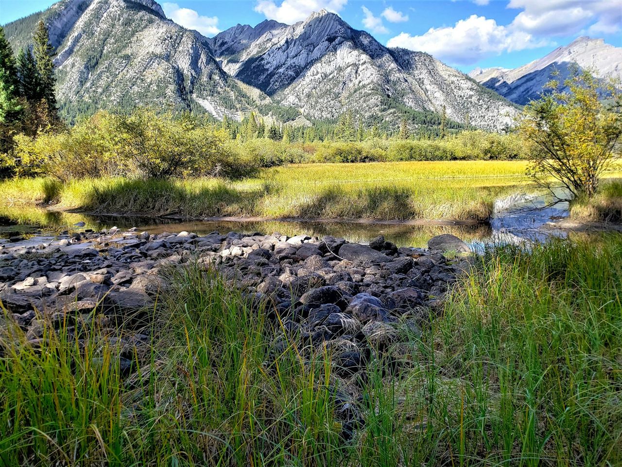 岩の沢筋の先に広がる草原と岩峰