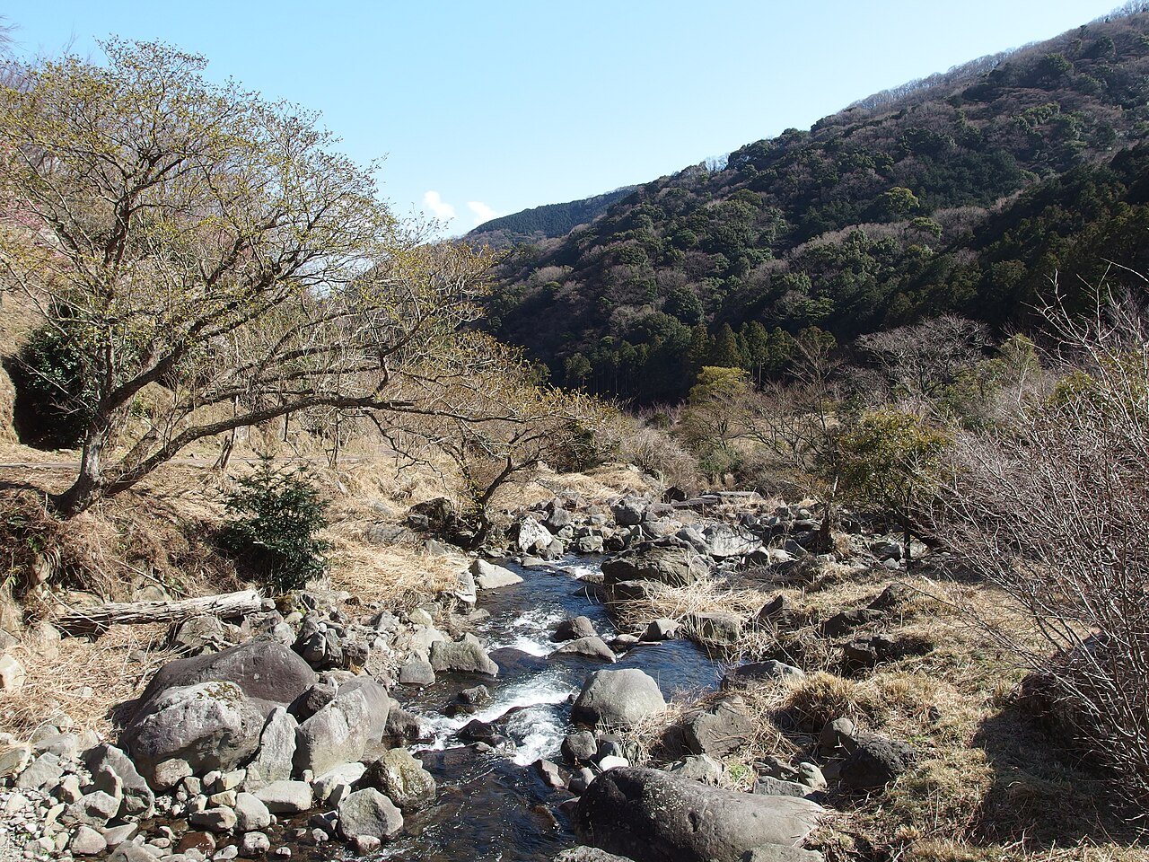 梅林の下を流れる岩の多い沢と山並み